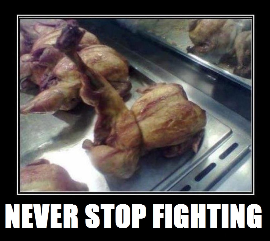 never stop fighting