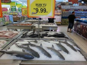 Is GIANT wrong to sell sharks at RM9.99/kg? (we ask Giant and the founder of Sharksavers.org)