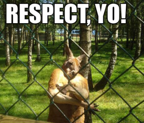 Respect-Kangaroo