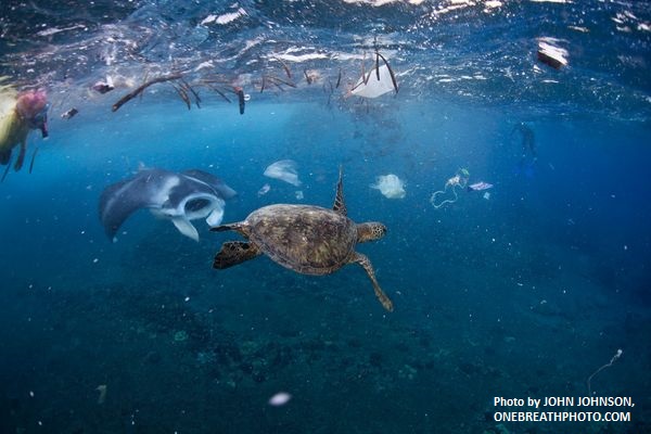 nat-geo-trash featured image