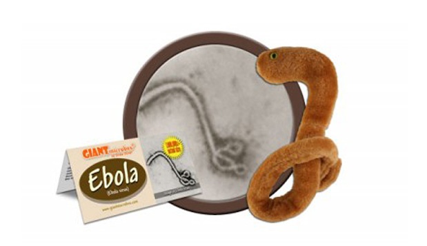 Nothing, just a really random photo of an Ebola stuffed toy. Photo from Inc.com 