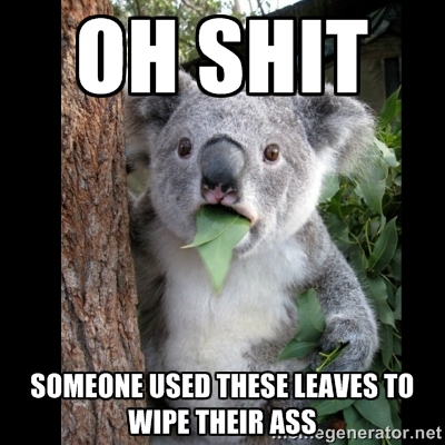 koala bear leaves ass