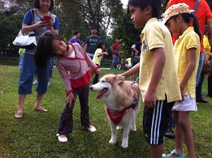 I’m Malay and I’m touching a dog for science