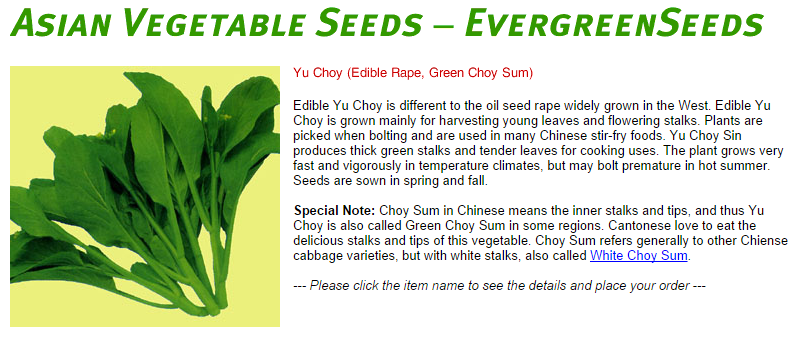 Yu Choy  Edible Rape  Green Choy Sum