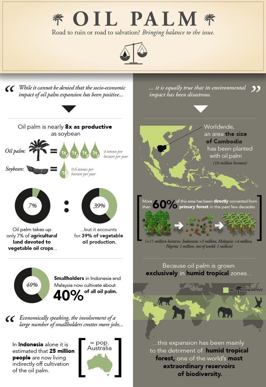 CIFOR's palm oil pictorial, good and bad (part 1a). Image from CIFOR.