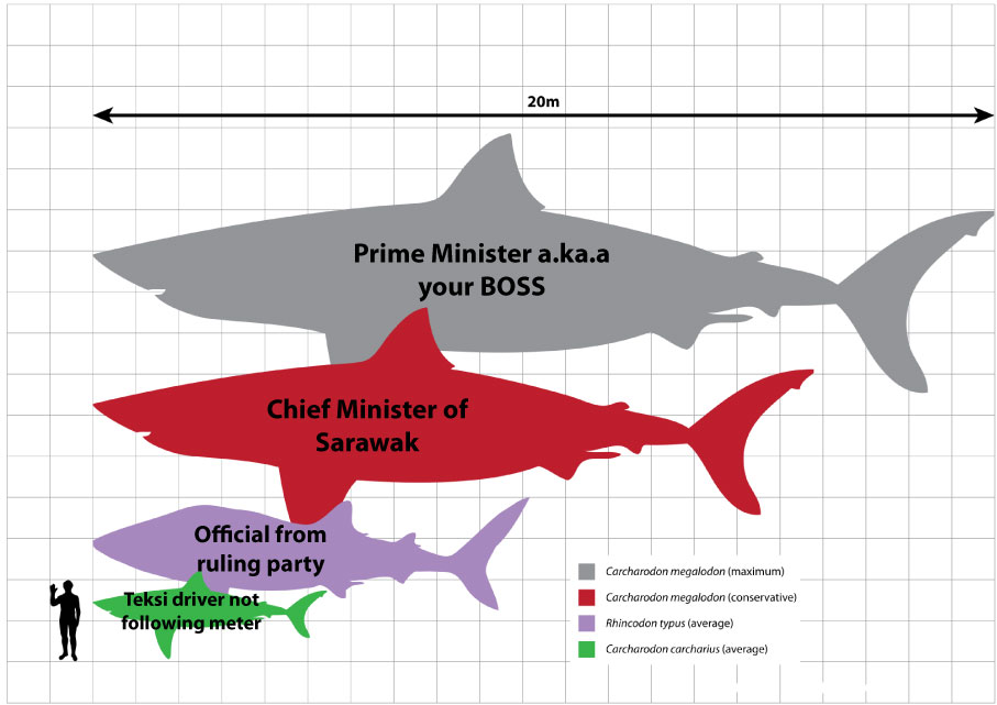 Shark-comparison-MACC