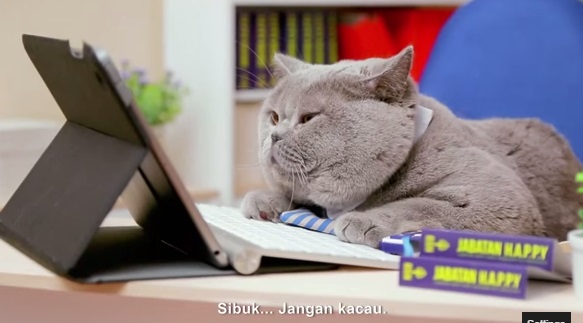 BSN Kucing Happy sibuk. Jangan kacau