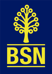 bsn