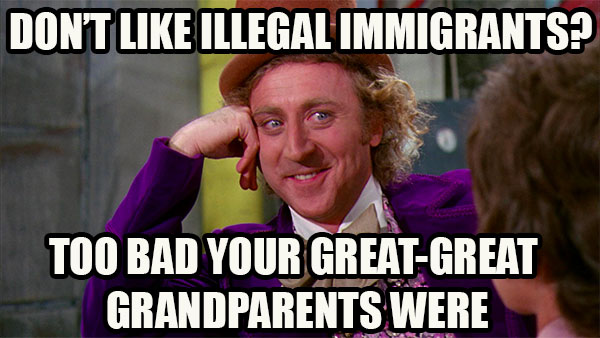 dont like illegal immigrants