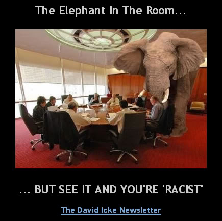 racist elephant in room