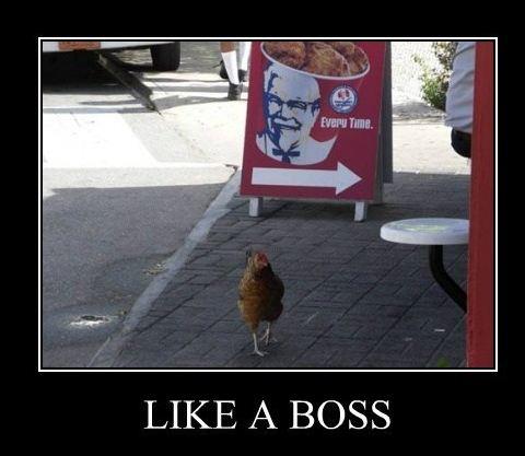 kfc like a boss