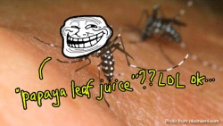 5 shocking stats show how teruk Malaysians’ knowledge is on Dengue