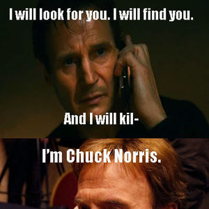 taken-liam neeson -with-chuck-norris-twist_