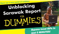 Cara unblock The Malaysian Insider atau Sarawak Report, 5 minit je :)