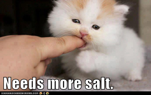 cat meme needs-more-salt