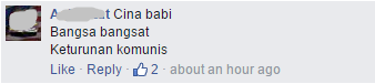 cina babi comment facebook Screenshot from Boikot Plaza Low Yat
