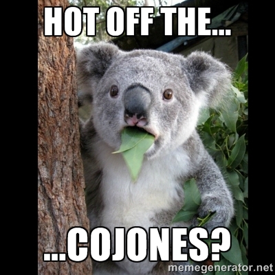 hot off the cojones koala meme