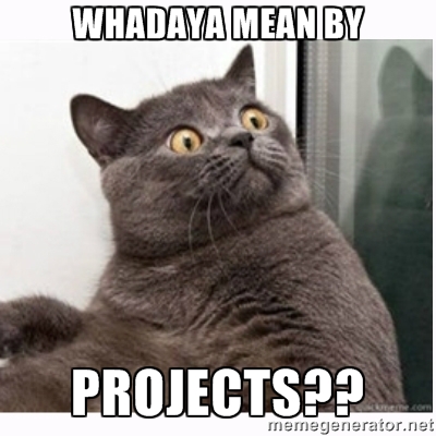 project cat