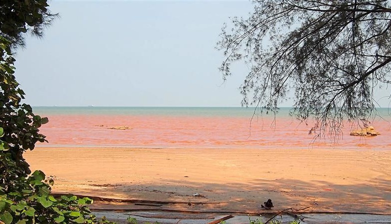 sea near kuantan port turn red. Image from The Star