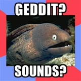 sounds eel