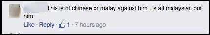 Malay commenter2