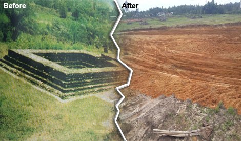 candi 11 before after demolished. Image from Says.com.