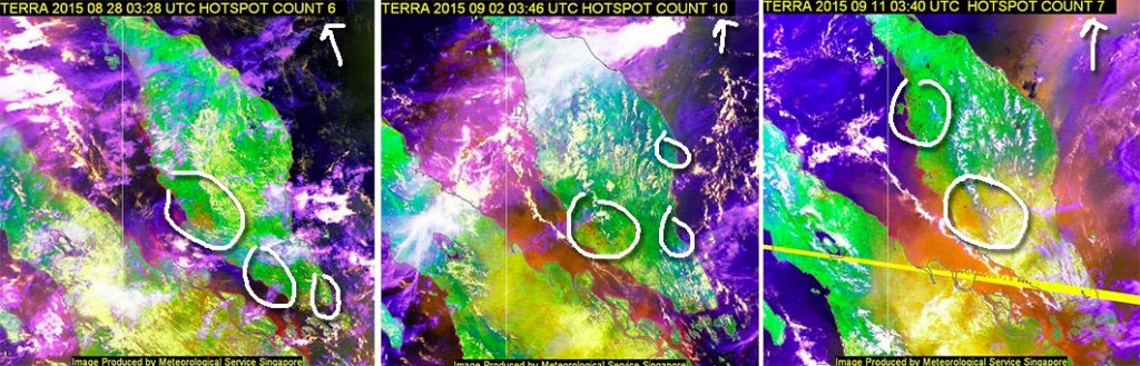 Satellite images from ASEAN Specialised Meteorological Centre