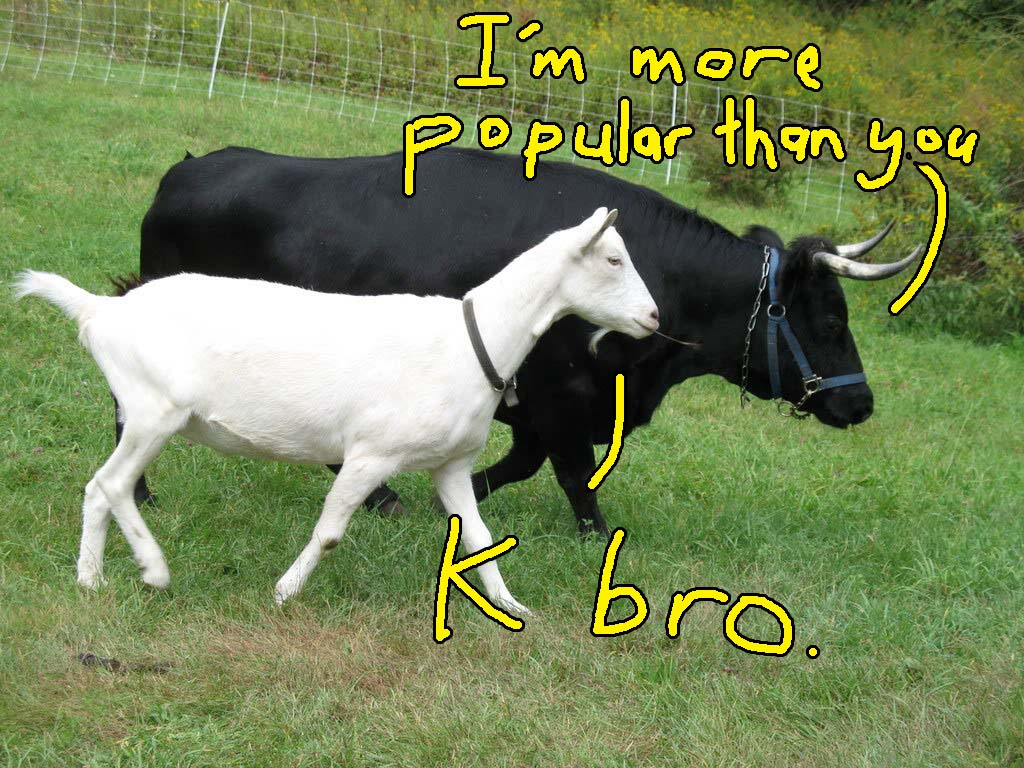 popular cow3
