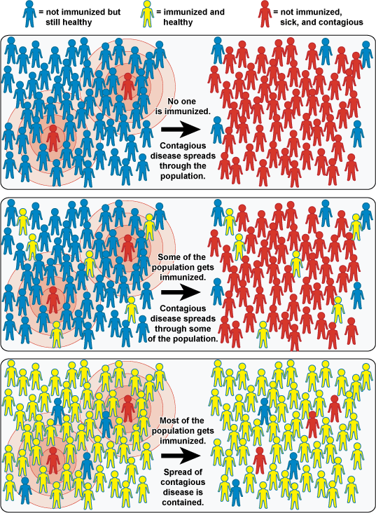 herd immunity. Image from vaccines.gov.