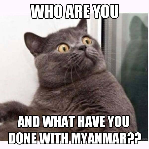 conspiracy cat myanmar