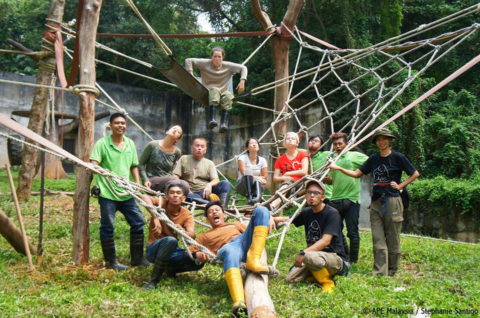 Para sukarelawan yang membina binaan dalam gambar diatas dan menguji ketahanannya untuk gunaan orang utan. Gambar daripada APE Malaysia.