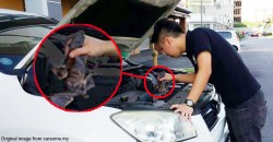 6 WTF things that have happened during Msian car inspections