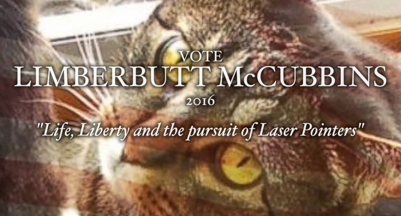 McCubbins for President! Image from: Examiner.com