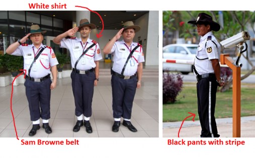 Wahh so many Msian police uniforms! How to tell them apart?