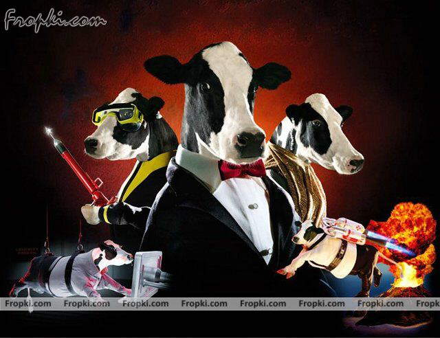 james bond cow Image from funnyimage03.blogspot.my.