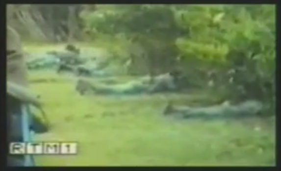 Policemen on the ground during the Memali siege. Screenshot of Al-Fatehah Memali from Youtube