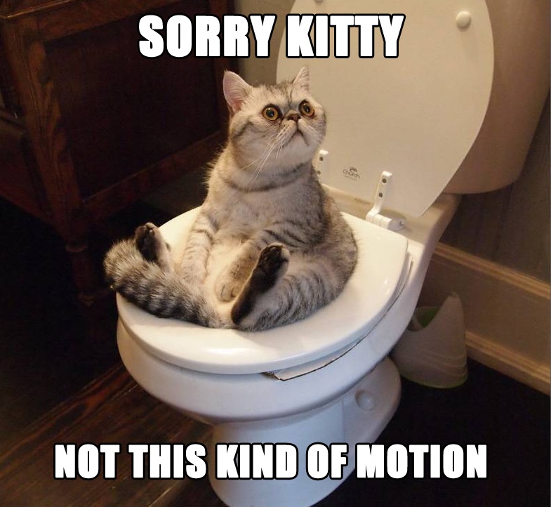 cat pass motion