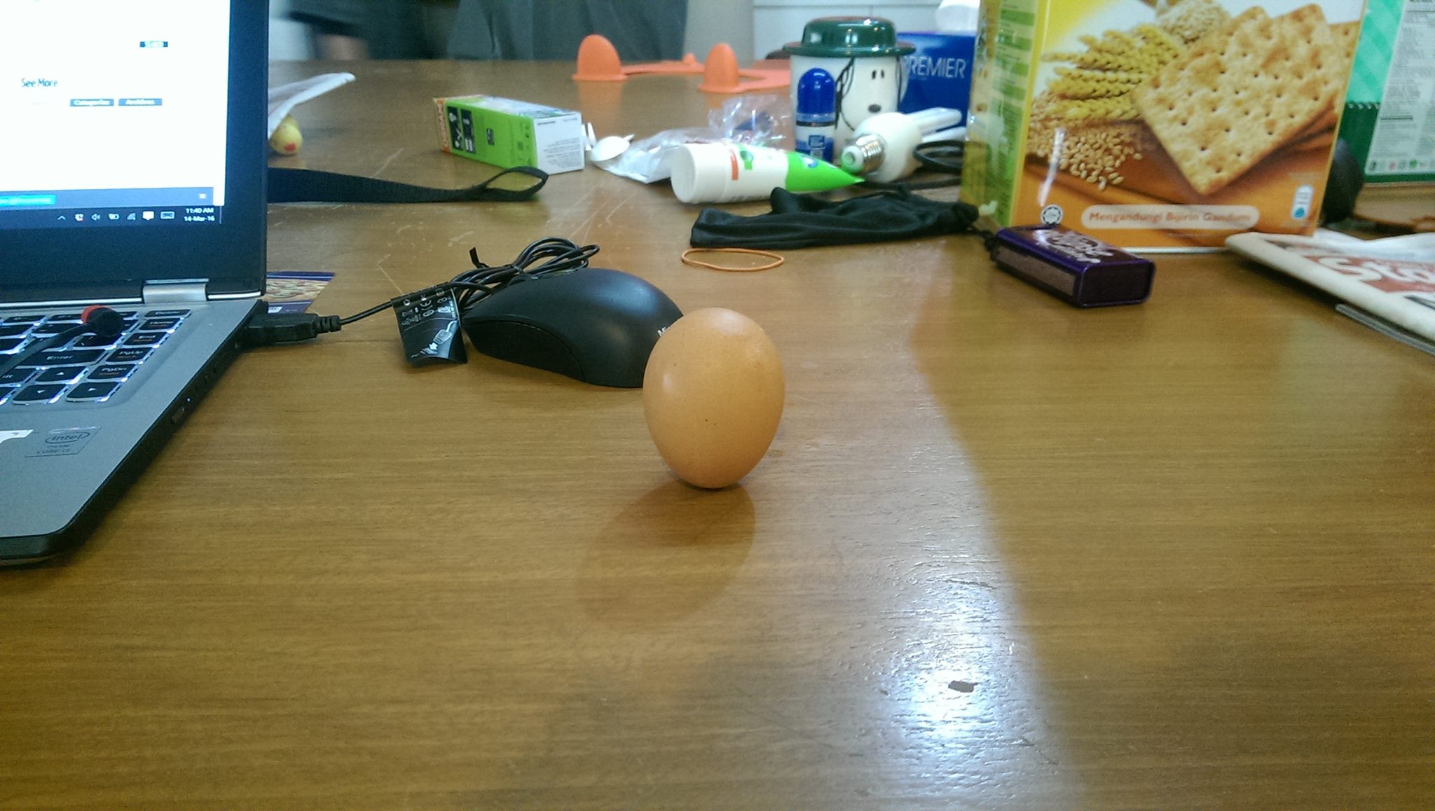 egg standing cilisos office