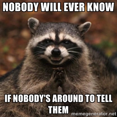 evil raccoon