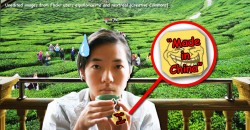 Chup. This green tea from Cameron Highlands…IS MADE IN CHINA?!