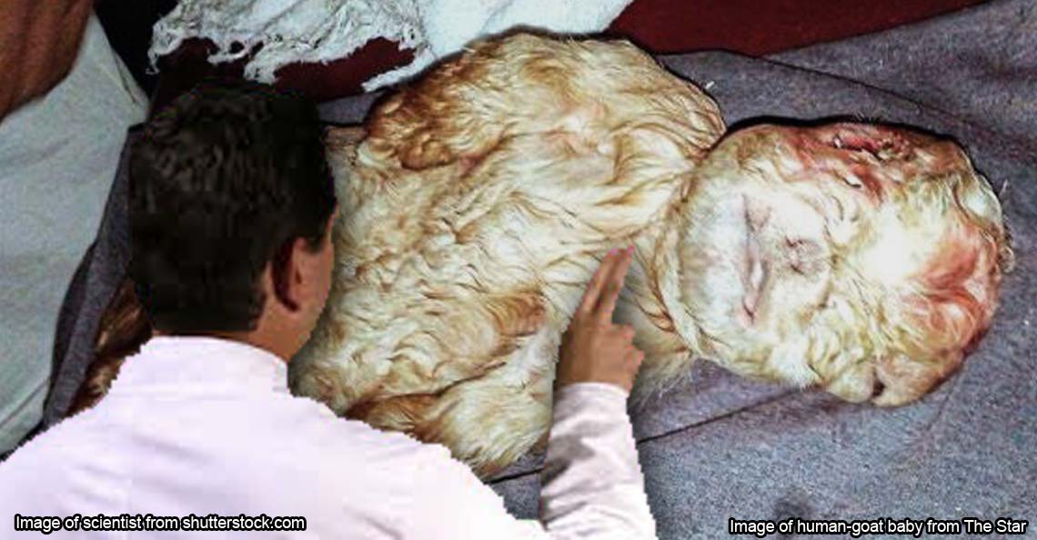Is this really a human-goat baby from Johor? We ask science!