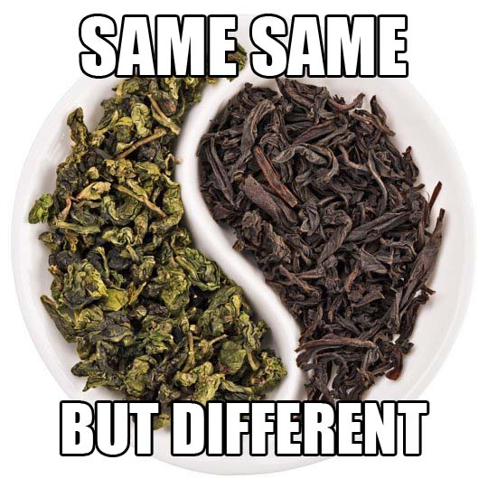 green tea black tea same