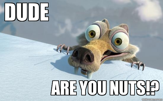 scrat dude are you nuts ice age