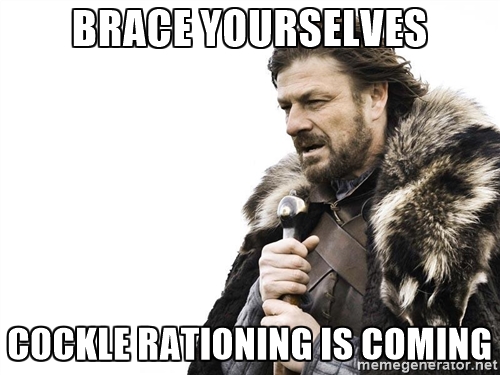 brace yourselves cockle