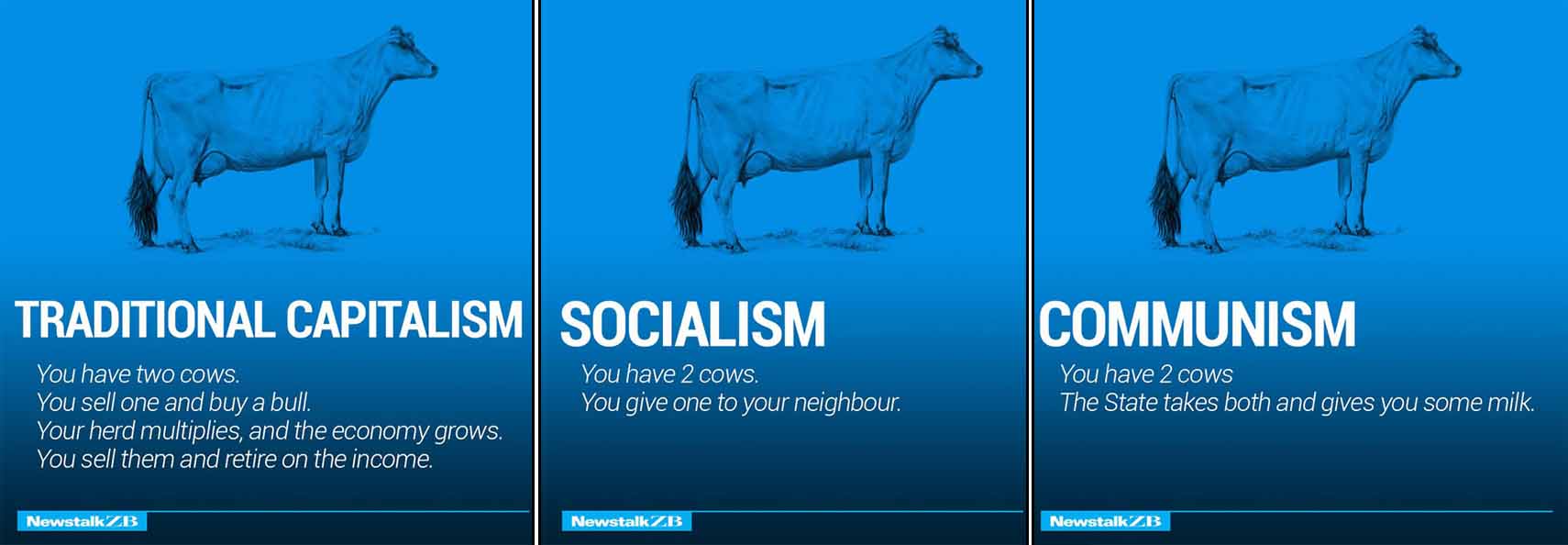 cows economic system