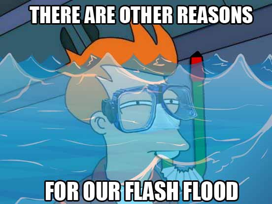 fry underwater flash flood