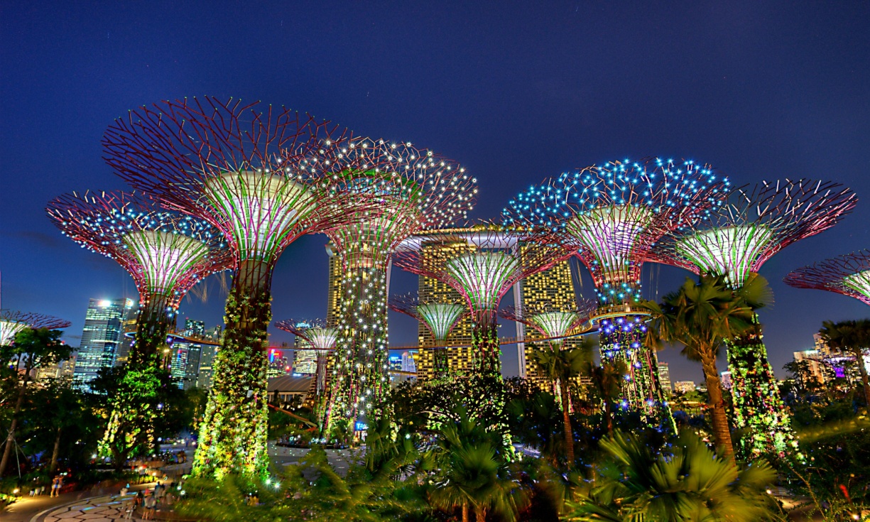 singapore supertrees Image from citi.io.