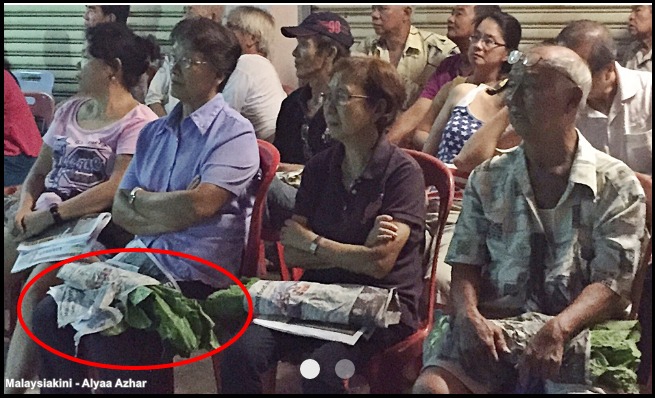 MCA joins in rice giveaways Harapan supporters get sawi Malaysiakini