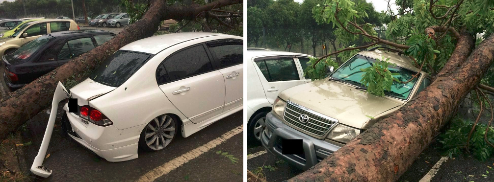 cars damaged hail kl Images from The Rakyat Post