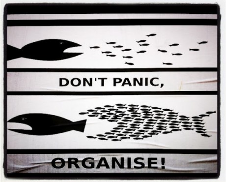 don't panic, organise fish